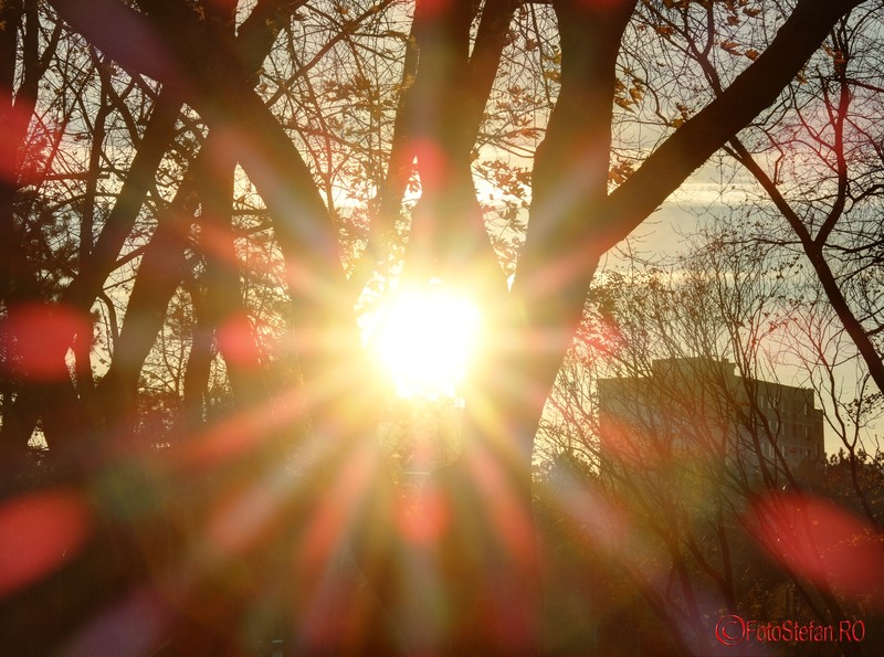 foto raze soare apus starburst sunset