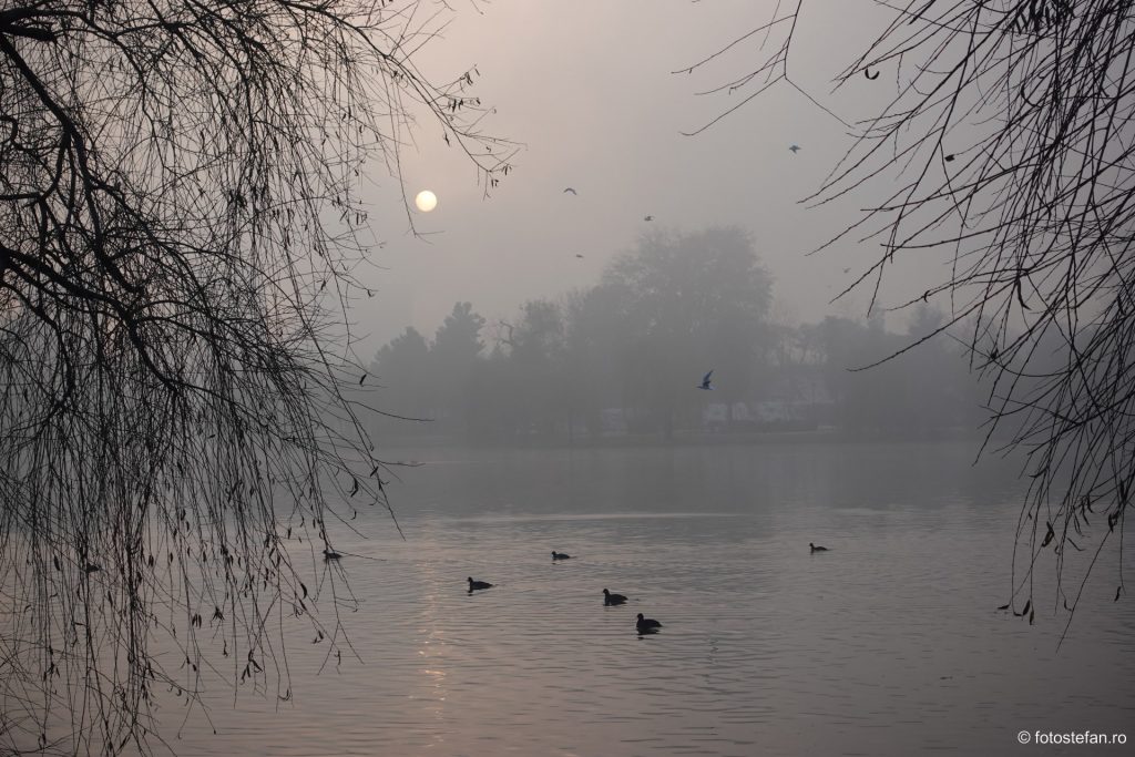 Fotografierea apusului de soare ceata lac titan bucuresti parc ior