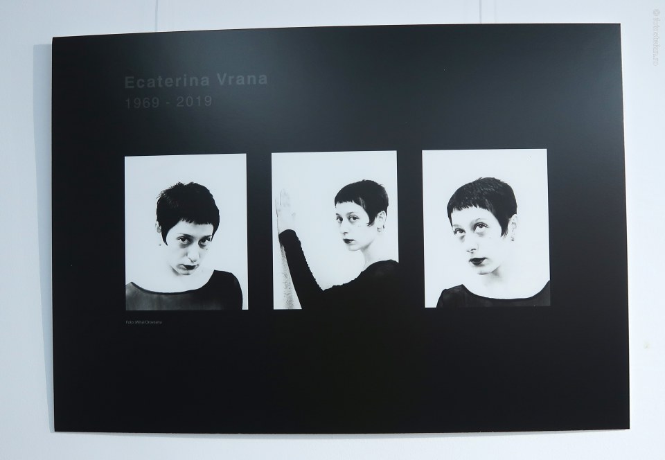 poza portret Ecaterina Vrana artista pictorita 