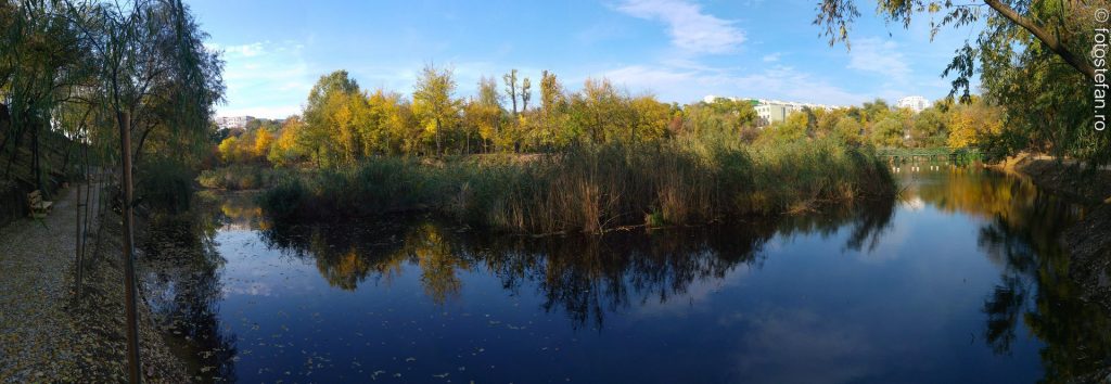 fotografie panoramica poza panorama telefon mobil parc lac stuf 