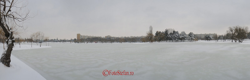 iarna Parcul Alexandru Ioan Cuza