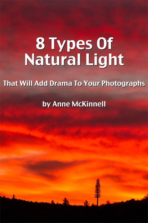 8 Types Of Natural Light That Will Add Drama To Your Photographs ebook