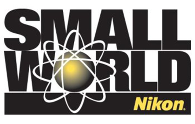 concursul Nikon International Small World Competition