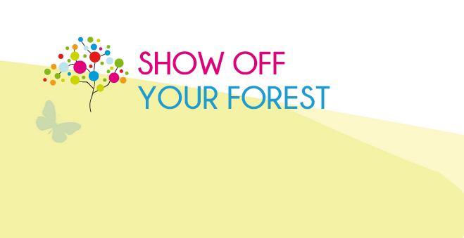 concurs foto Show Off Your Forest