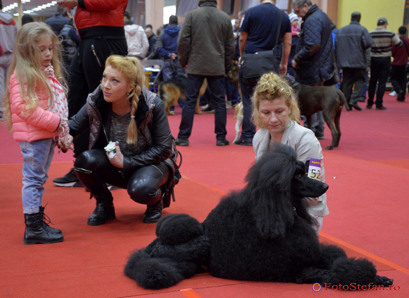 Bucharest Pet Exhibition Romexpo 2015