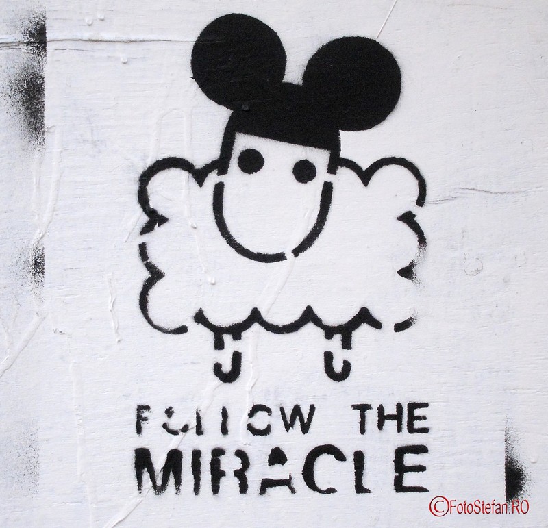 poza graffiti followe miracle
