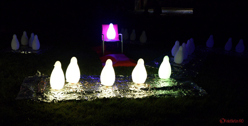poze armata pinguinilor luminosi spotlight bucuresti