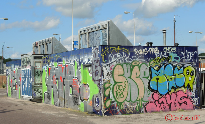 poza graffiti color amsterdam 