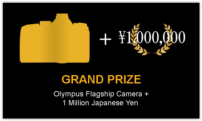 premii concurs foto Olympus Global Open Photo 2016 - 2017