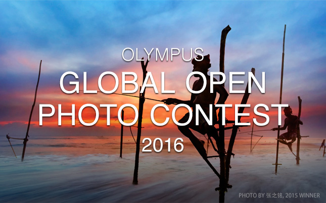 afis Olympus Global Open Photo 2016 - 2017
