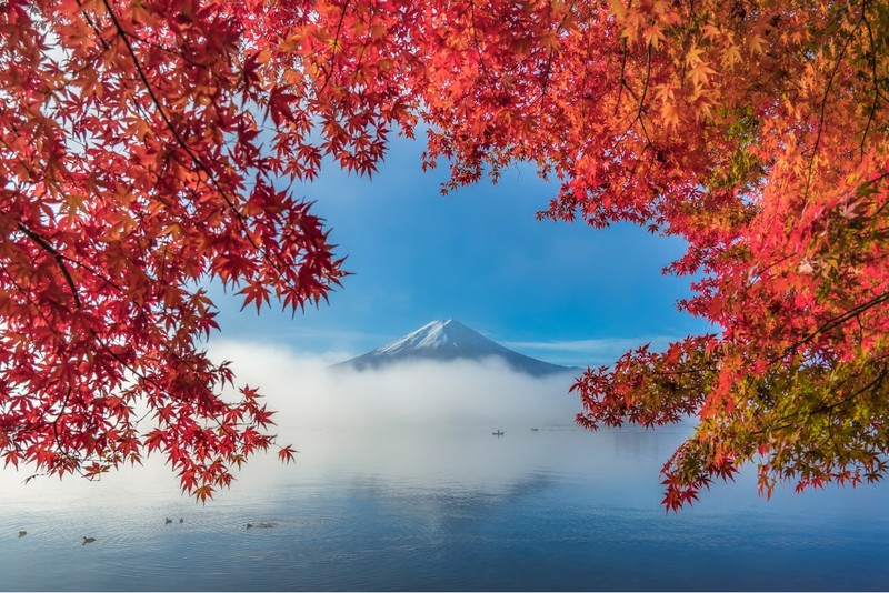 fotografii de peisaj muntele fuji japonia toamna frunze colorate