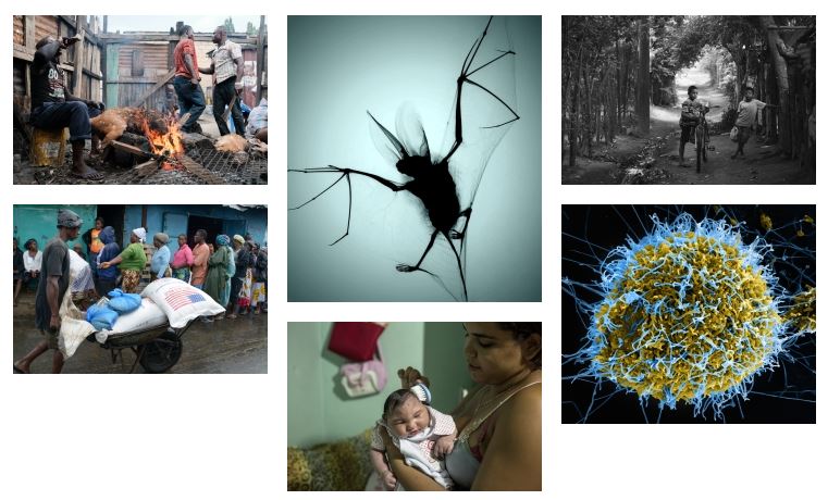 Wellcome Photography Prize outbreaks 