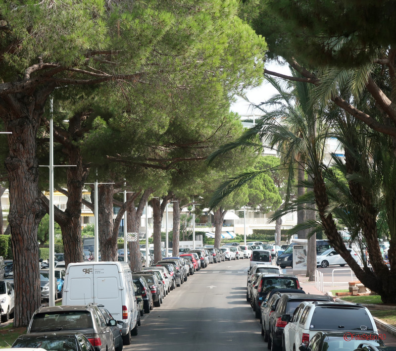 Cannes Nisa poze Le Croisette franta coasta de azur