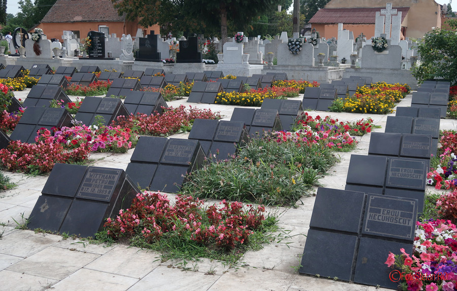 poze Complexul Memorial Cimitirul Eroilor Calea Lipovei Timisoara Romania