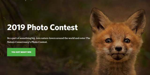Nature Conservancy concurs fotografie natura wildlife