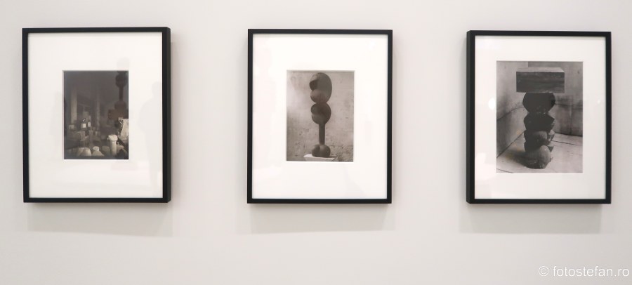 poza expozitie fotografii lucrari arta constantin brancusi muzeul Solomon R. Guggenheim new york