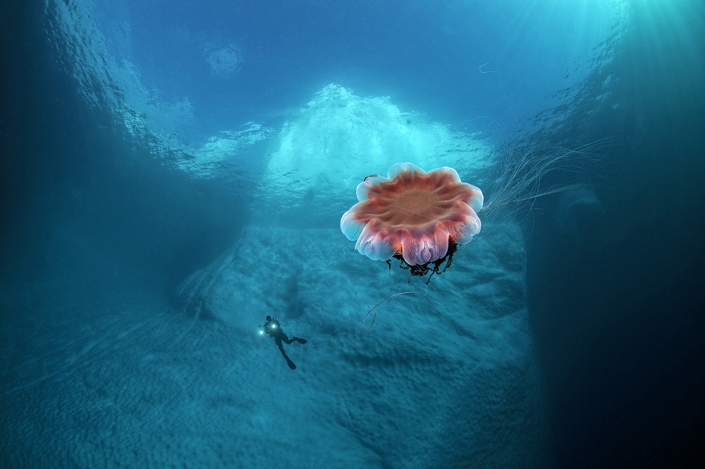 fotografie subacvatica scafandru mare apa albastra
