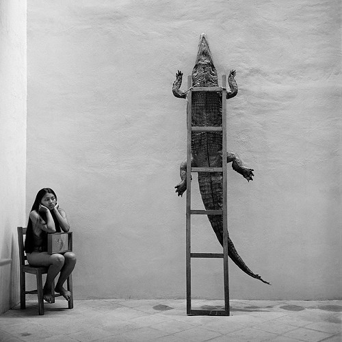 fotografie alb negru mexic crocodil perete