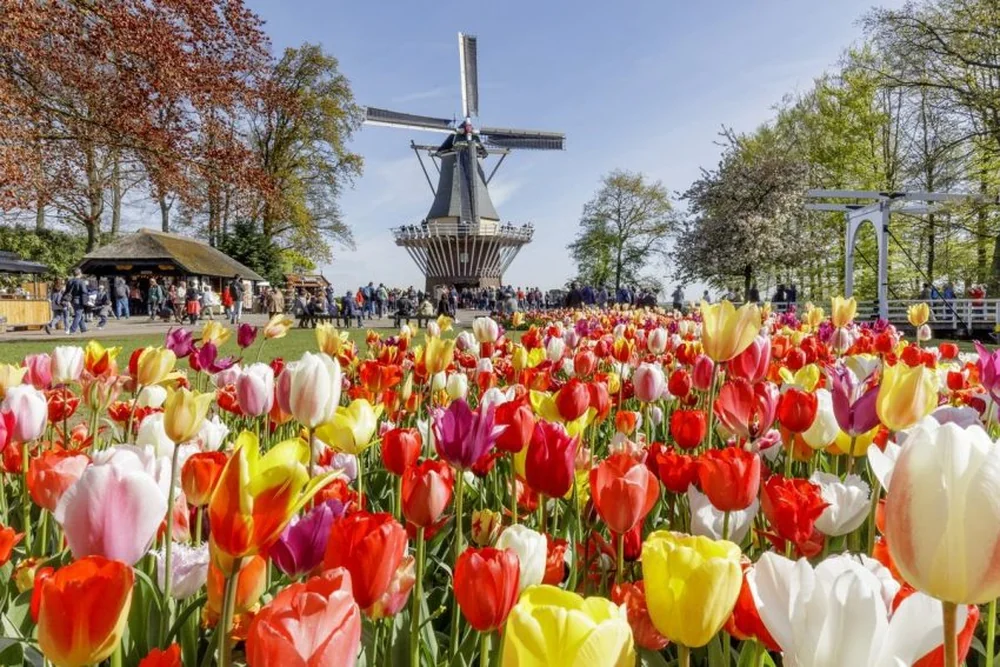 poza parada florilor amsterdam olanda Circuitele sezonului 2023