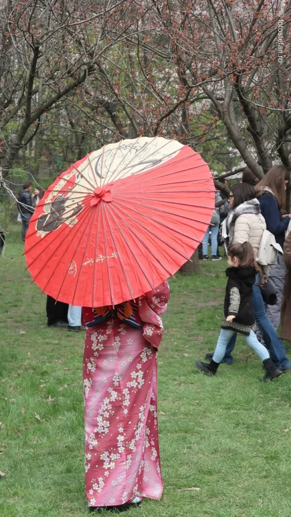 traditi japoneza bucuresti parcul herastrau