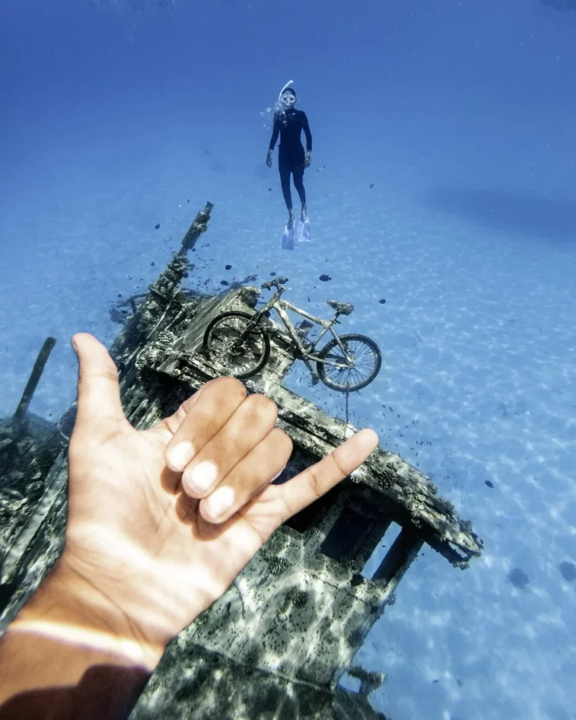 Huse si carcase subacvatice la reduceri de vara fotografie subacvatica