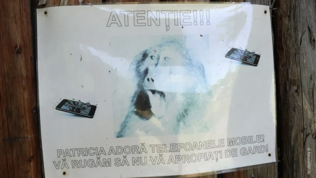 poza panou avertizare maimuta patricia gradina zoologica oradea