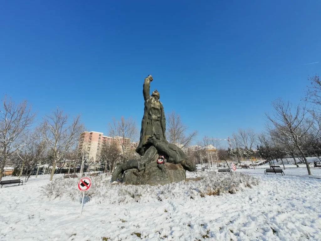 poza statuie parcul florilor zapada bucuresti iarna DJI Osmo Action 4